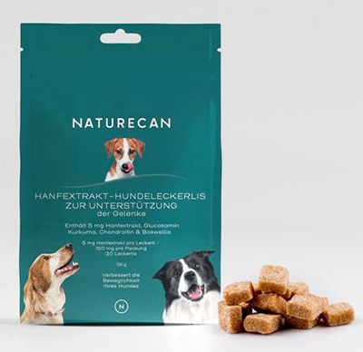 cbd leckerli hund gelenke