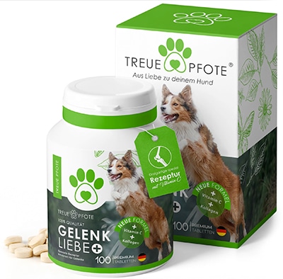gelenktabletten hunde testsieger